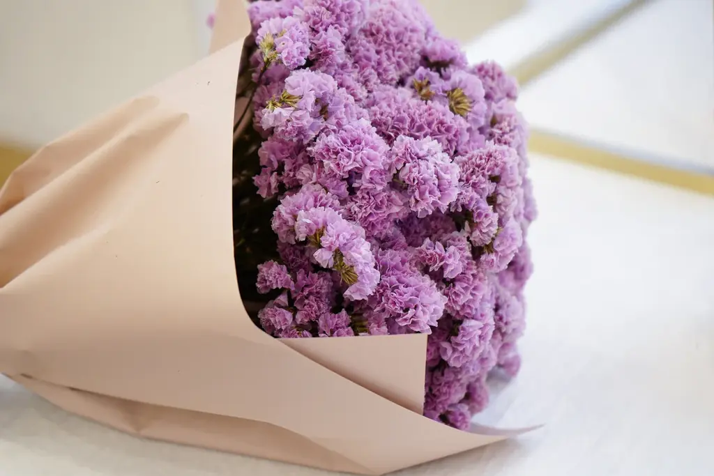 癒やしのテーマパーク Nayuta 2F、薪サウナのTHE VANISHリニューアルオープンのお知らせ 画像 18