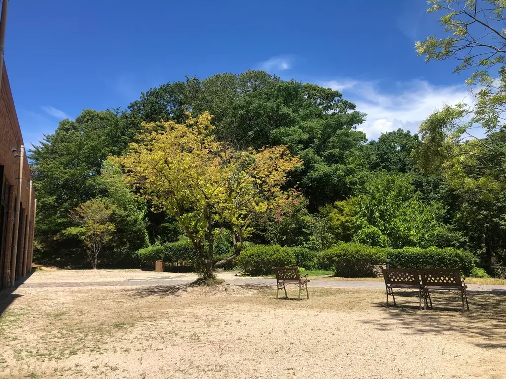 癒やしのテーマパーク Nayuta 2F、薪サウナのTHE VANISHリニューアルオープンのお知らせ 画像 22