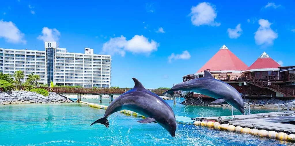 沖縄・西海岸【大人のためのX’masガラディナー】東シナ海を望むエレガントな空間で愉しむ＜フレンチノエル＞＜ノエル琉球＞ 画像 10