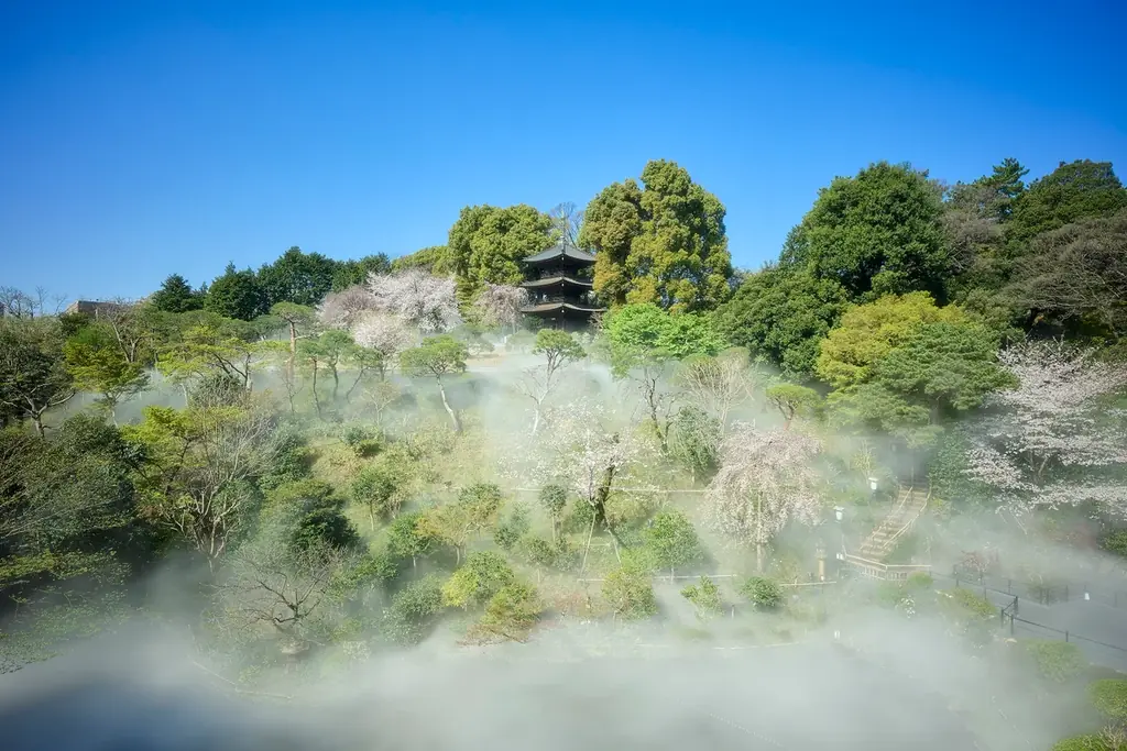 【ホテル椿山荘東京】L’OCCITANE×ホテル椿山荘東京のコラボレーション「桜ステイプラン」2種を 2月6日より提供 画像 7