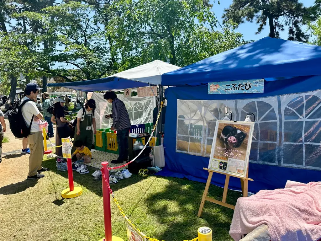 京都　梅小路公園　クリスマスマルシェ２０２５ 画像 7