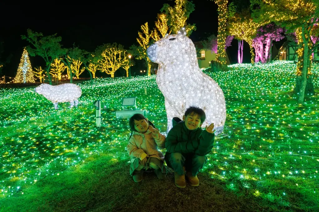 【15,000人突破】約100万球が灯るイルミネーション【ハーベストの丘 画像 1