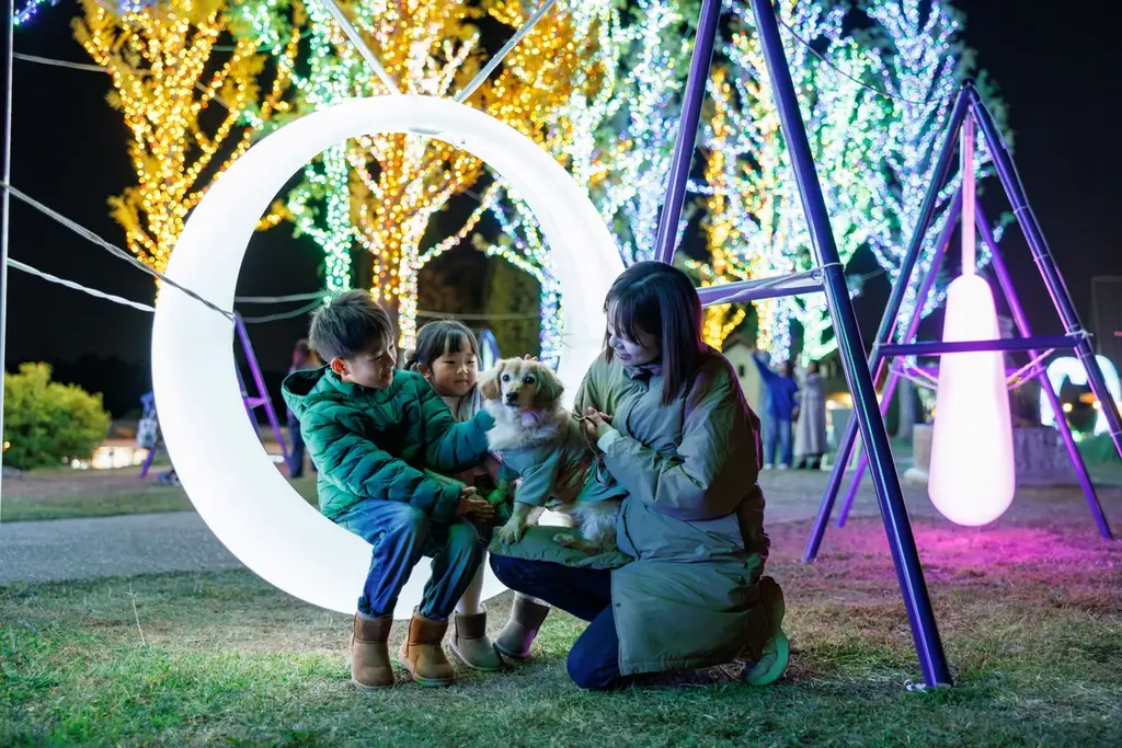 【15,000人突破】約100万球が灯るイルミネーション【ハーベストの丘 画像 11