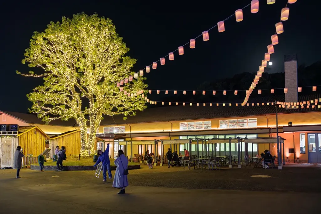 【15,000人突破】約100万球が灯るイルミネーション【ハーベストの丘 画像 12