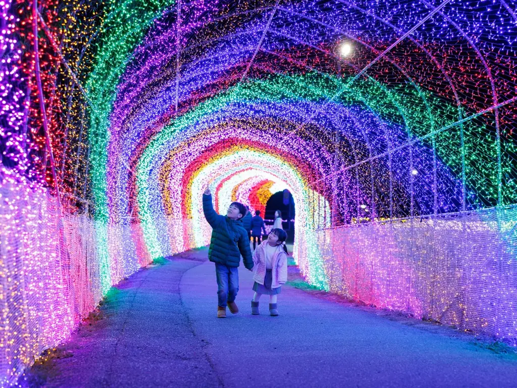 【15,000人突破】約100万球が灯るイルミネーション【ハーベストの丘 画像 14