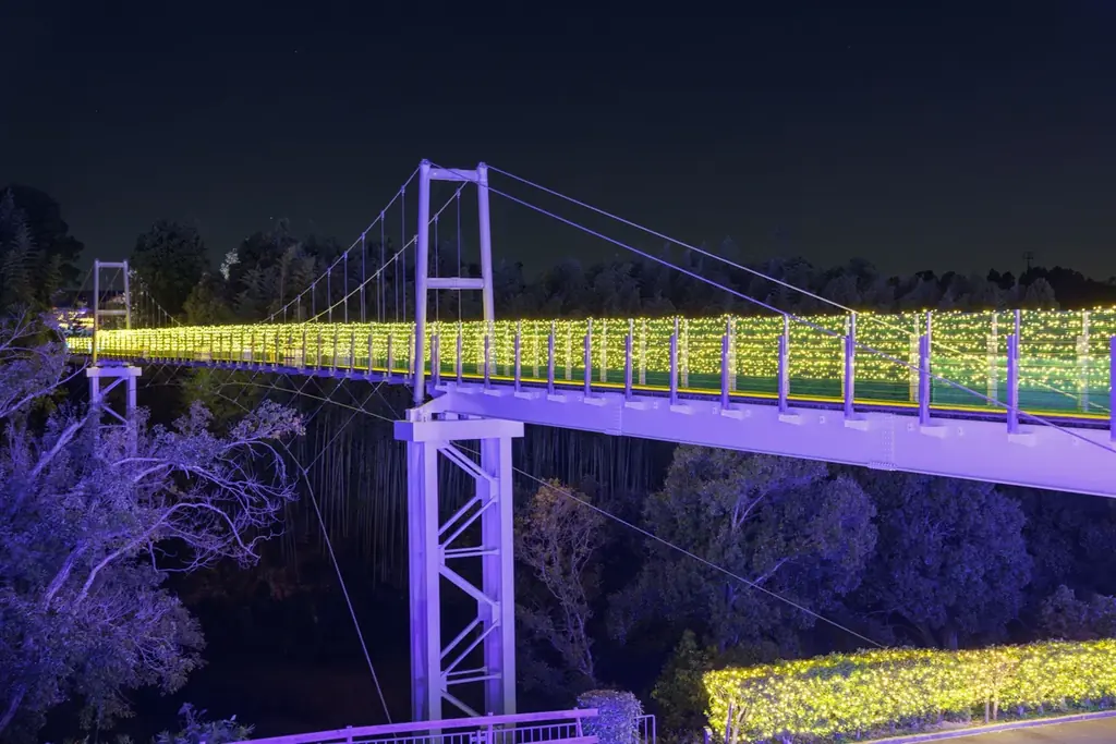 【15,000人突破】約100万球が灯るイルミネーション【ハーベストの丘 画像 15