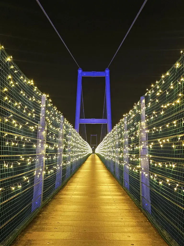 【15,000人突破】約100万球が灯るイルミネーション【ハーベストの丘 画像 16