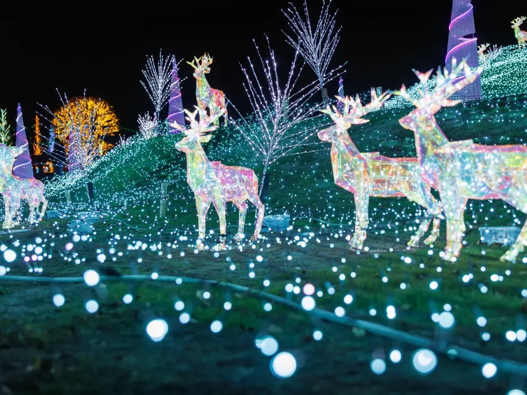 【15,000人突破】約100万球が灯るイルミネーション【ハーベストの丘 画像 17