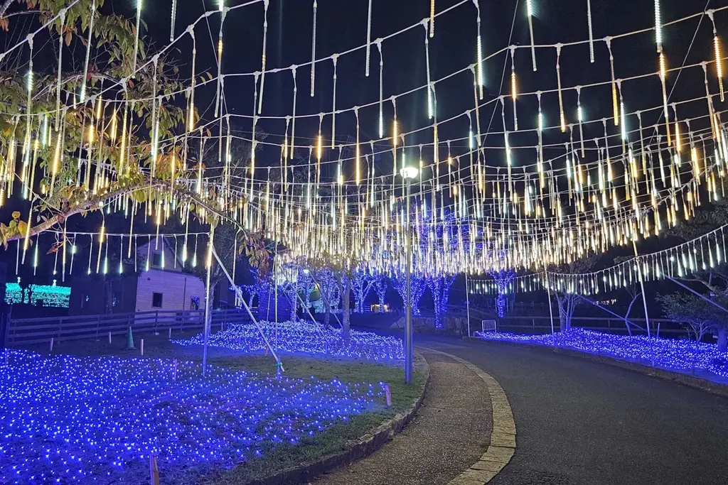 【15,000人突破】約100万球が灯るイルミネーション【ハーベストの丘 画像 19