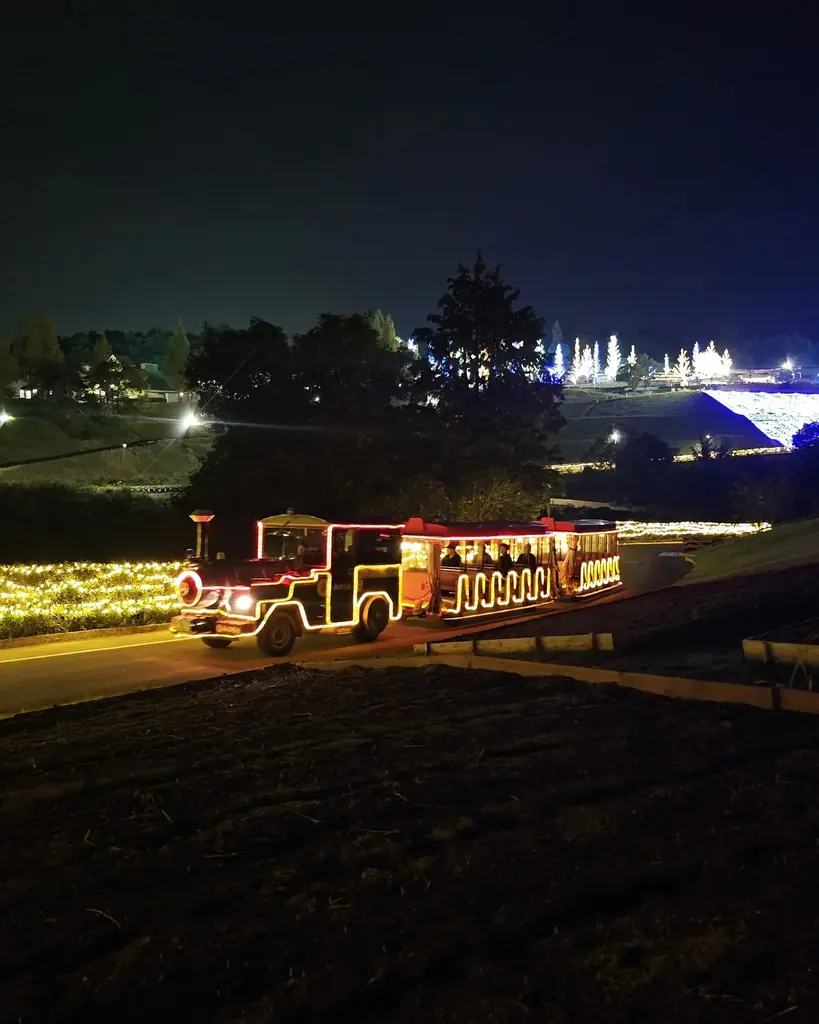 【15,000人突破】約100万球が灯るイルミネーション【ハーベストの丘 画像 29