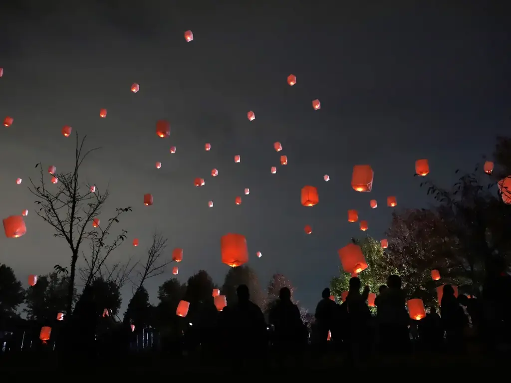 【15,000人突破】約100万球が灯るイルミネーション【ハーベストの丘 画像 3