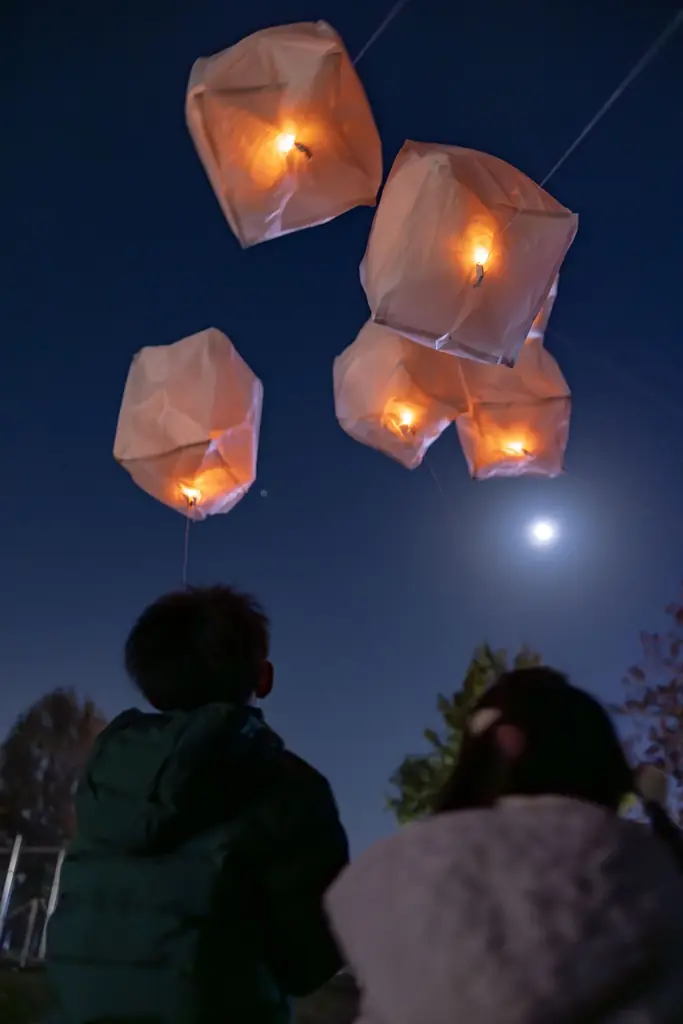 【15,000人突破】約100万球が灯るイルミネーション【ハーベストの丘 画像 4