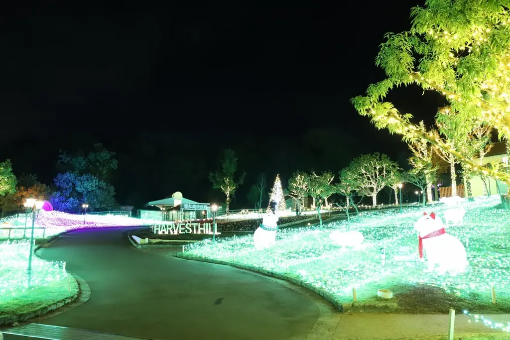 【15,000人突破】約100万球が灯るイルミネーション【ハーベストの丘 画像 7