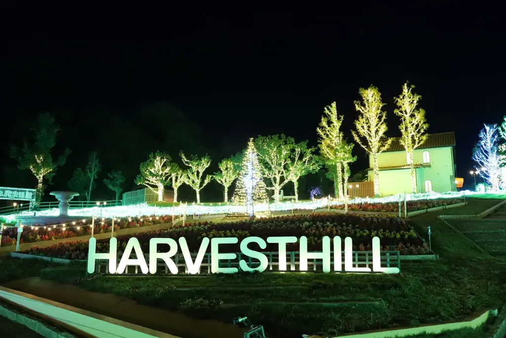 【15,000人突破】約100万球が灯るイルミネーション【ハーベストの丘 画像 9