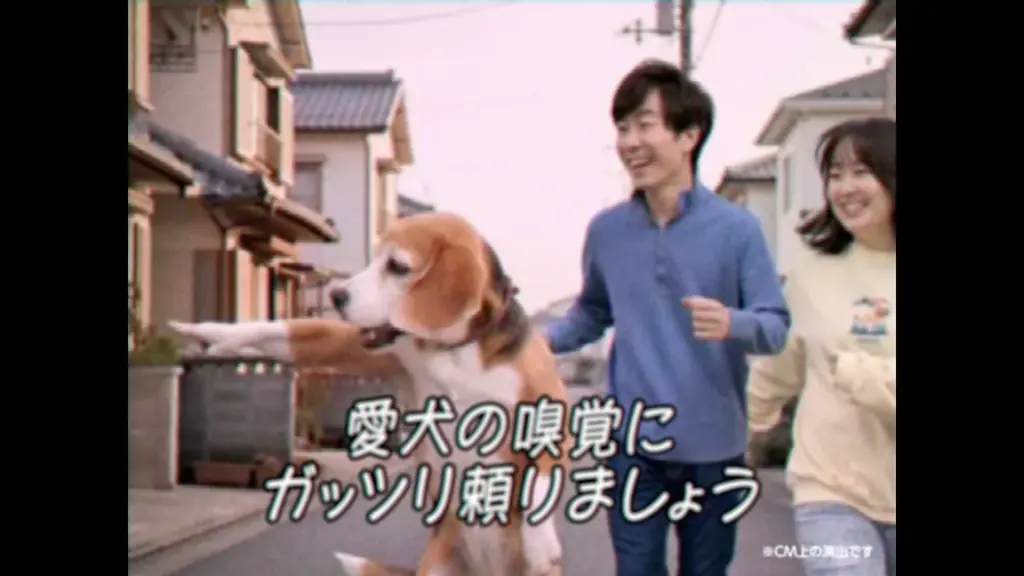 平成レトロ風の懐かしさあふれる新感覚チュートリアルビデオ新WebCM「at homeの住まいさがし講座」シリーズを2025年12月8日（月）より公開 画像 4