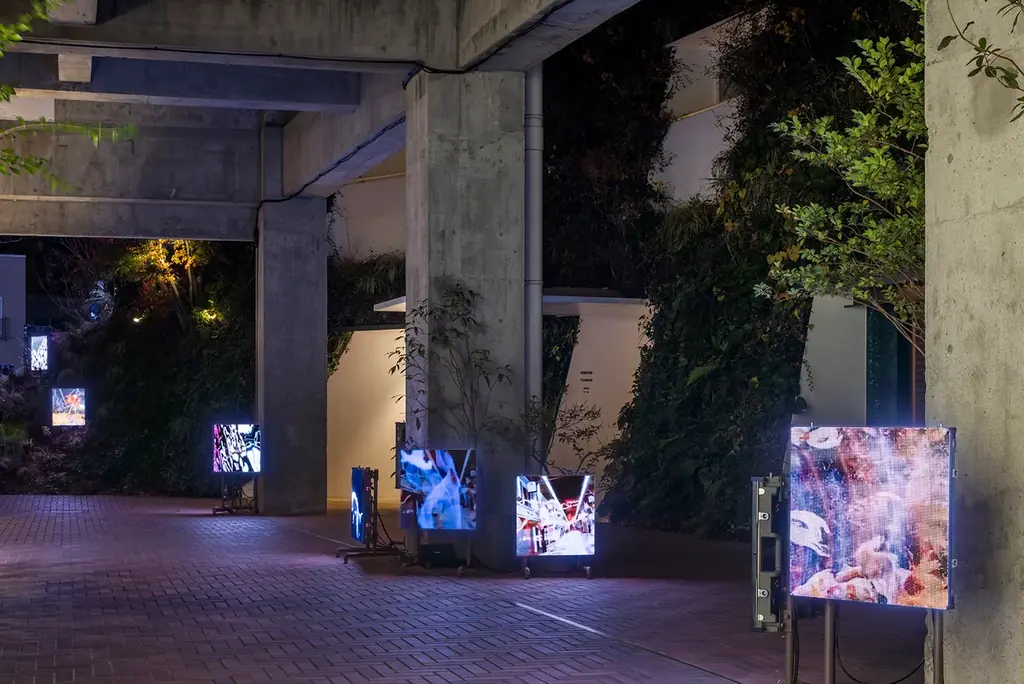 白井屋ホテル　開業5周年記念イベント「蜷川実花 with EiM at SHIROIYA」白井屋ホテルアートイルミネーショ2025 《Pulse of Lives》開催中 画像 5