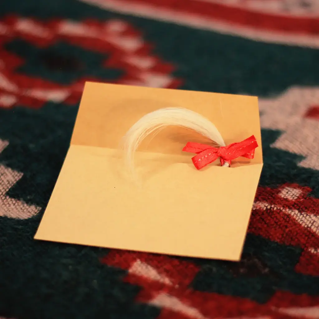 はじめてのサンタさんを応援！「サンタクロースのはじめかた」 画像 5