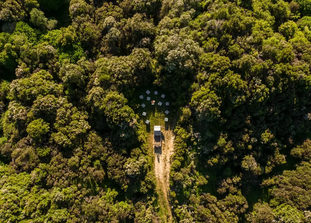 【ついに一般販売開始】ニュージーランド産「クラフトマヌカハニー」MOUNTAIN HARVESTの予約販売は予想を上回る大盛況で終了。国内唯一の正規販売として12月9日より日本国内で一般販売スタート！ 画像 3