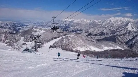 おトクなクーポンがついてくる♪　インバウンド向けパス×保険のセット商品を販売開始！ 画像 3