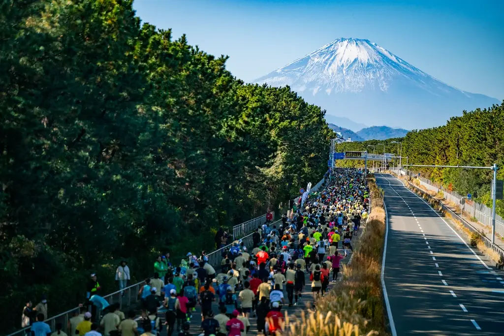 第20回 湘南国際マラソン、12月7日（日）開催！ 画像 3