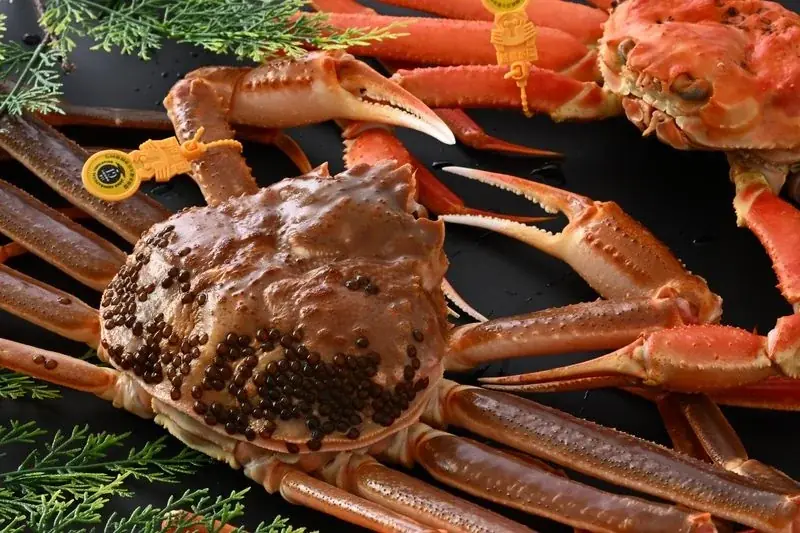 プレゼントキャンペーン～私がおすすめする坂井市の美食～ 画像 8