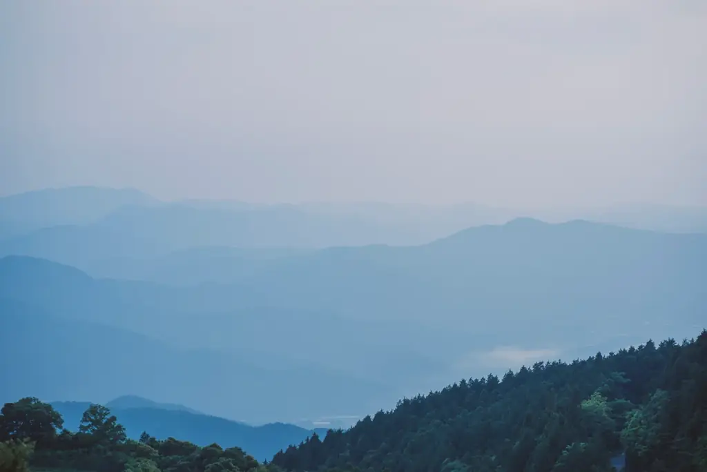 熊本県発！3年の開発を経て、国産シルク配合ボディケアブランド「ココン・ラボ」より新ヘアケア商品登場　共同研究の技術で、美髪へ導くシャンプー・コンディショナー 画像 13