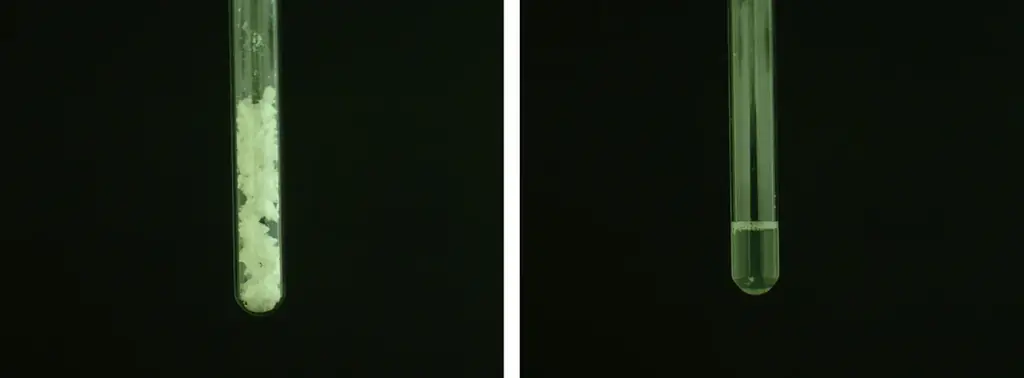 熊本県発！3年の開発を経て、国産シルク配合ボディケアブランド「ココン・ラボ」より新ヘアケア商品登場　共同研究の技術で、美髪へ導くシャンプー・コンディショナー 画像 6