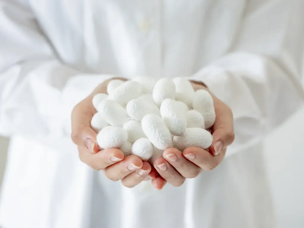 熊本県発！3年の開発を経て、国産シルク配合ボディケアブランド「ココン・ラボ」より新ヘアケア商品登場　共同研究の技術で、美髪へ導くシャンプー・コンディショナー 画像 8