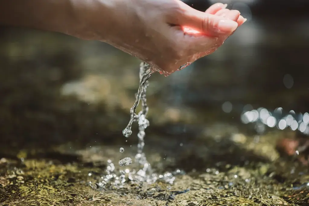 熊本県発！3年の開発を経て、国産シルク配合ボディケアブランド「ココン・ラボ」より新ヘアケア商品登場　共同研究の技術で、美髪へ導くシャンプー・コンディショナー 画像 9