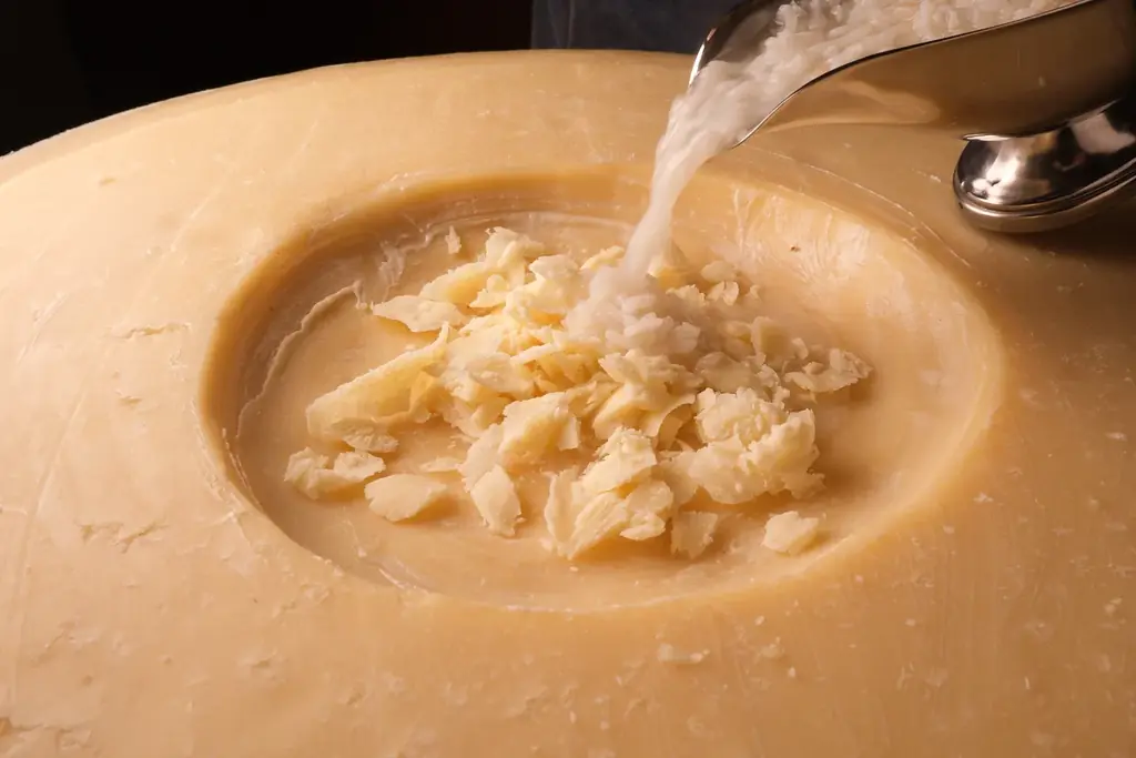 仙川がイタリアの台所に。野菜ソムリエ厳選の新鮮野菜を使った本格石窯ピッツァと生パスタ、「ボナペティート・パパ」12月9日オープン。 画像 2