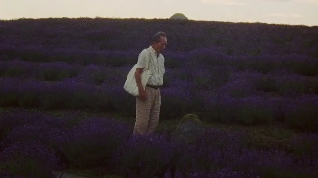 短編映画制作支援募集