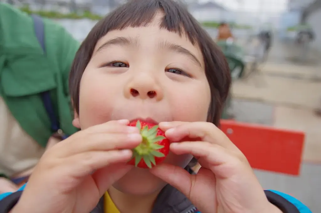 発表！子供と体験したい「12月の季節行事＆風習ランキング」2位「イルミネーション」1位は？「年賀状づくり」は11位／いこーよファミリーラボ調査2025【冬休み・冬レジャー調査リリース第3弾】 画像 10