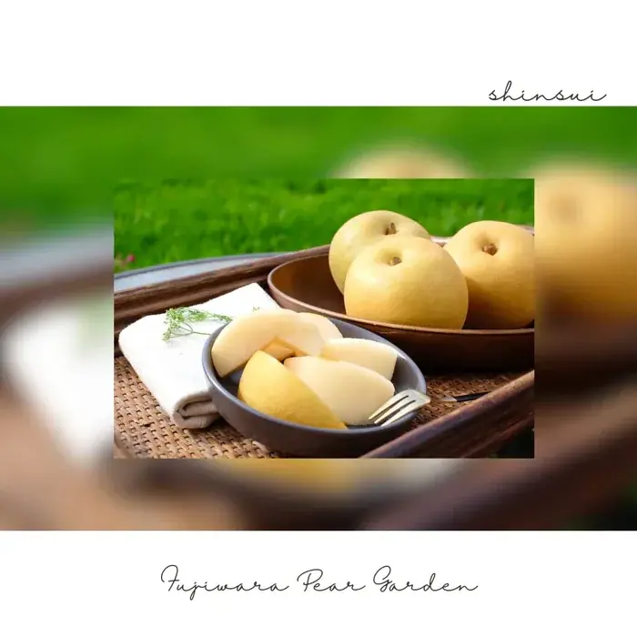 あげたいお歳暮スイーツが抽選で当たるX(Twitter)キャンペーンを開催 画像 2