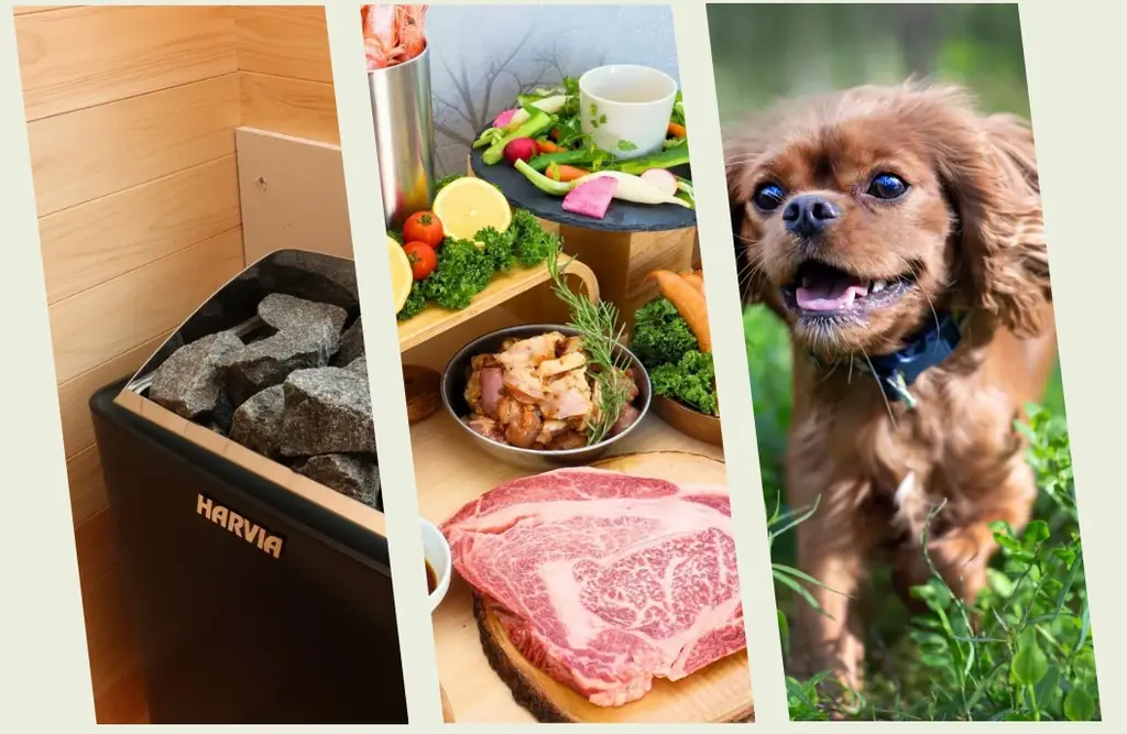 【那須塩原に新グランピング誕生】“愛犬OK×プライベートサウナ”完備のトレーラーハウス型施設「那須森蔵」 画像 3