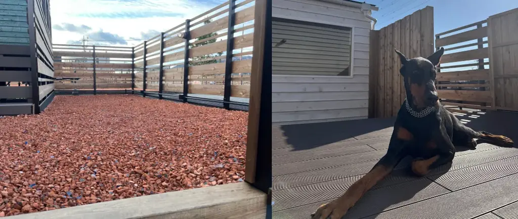 【那須塩原に新グランピング誕生】“愛犬OK×プライベートサウナ”完備のトレーラーハウス型施設「那須森蔵」 画像 5