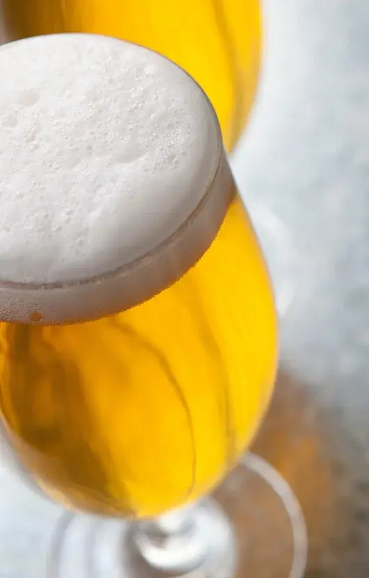 【那須塩原に新グランピング誕生】“愛犬OK×プライベートサウナ”完備のトレーラーハウス型施設「那須森蔵」 画像 9