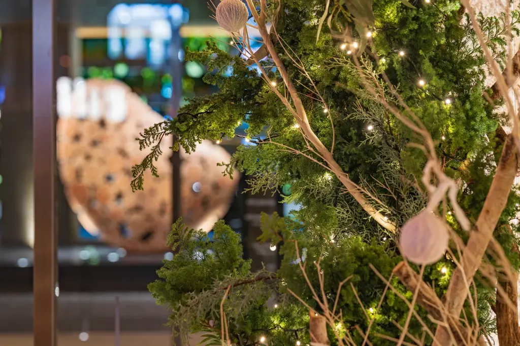 TIAD, AUTOGRAPH COLLECTION 2025クリスマスツリー＆ケーキのご案内 画像 3