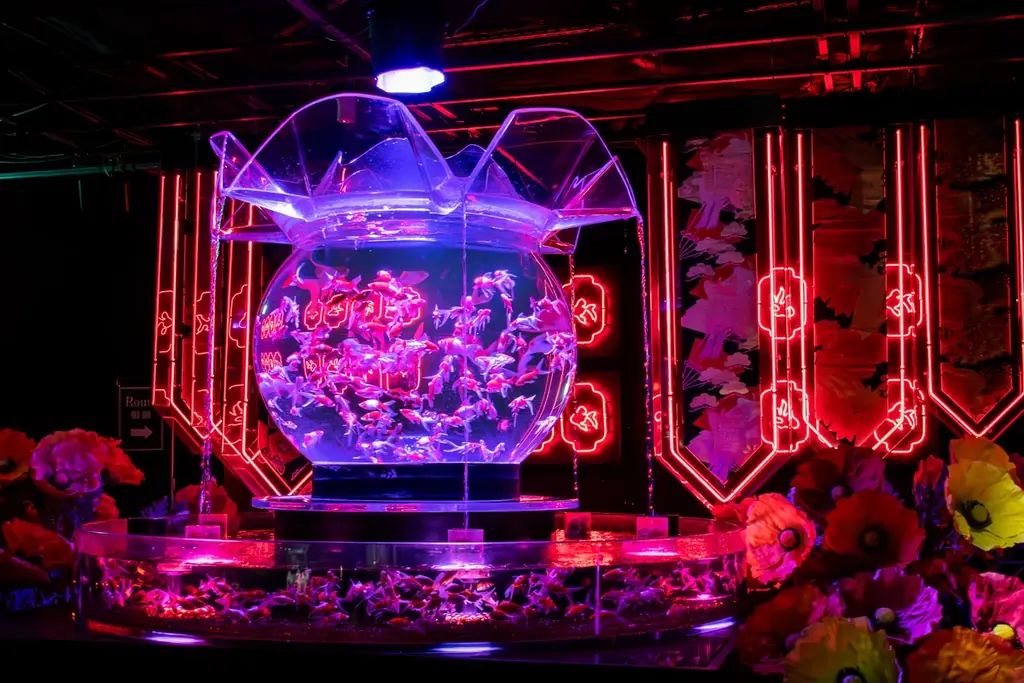 クリスマスの思い出を“花×金魚”のアートアクアリウム美術館で お得なクリスマスペアチケットを数量限定で販売！ 2人で“花に囲まれる幻想空間”に浸るクリスマス 画像 4