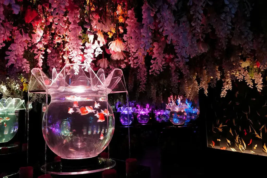クリスマスの思い出を“花×金魚”のアートアクアリウム美術館で お得なクリスマスペアチケットを数量限定で販売！ 2人で“花に囲まれる幻想空間”に浸るクリスマス 画像 5