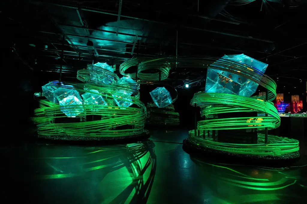 クリスマスの思い出を“花×金魚”のアートアクアリウム美術館で お得なクリスマスペアチケットを数量限定で販売！ 2人で“花に囲まれる幻想空間”に浸るクリスマス 画像 6