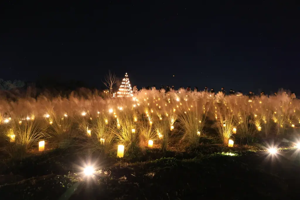 【広島／世羅】クリスマスシーズンは世羅高原へ　世羅高原キャンドルナイトは12月21日まで《世羅高原キャンドルナイト》 画像 2