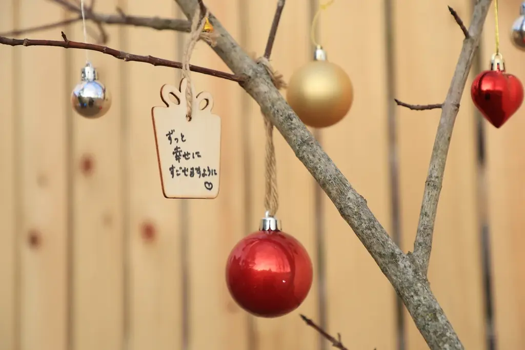 【広島／世羅】クリスマスシーズンは世羅高原へ　世羅高原キャンドルナイトは12月21日まで《世羅高原キャンドルナイト》 画像 7