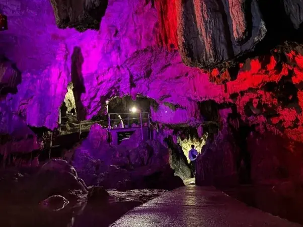 バスツアー応募数前年比800%超！岡山県新見市ふるさと市民制度を後押しするVTuberとのコラボ企画を実施 画像 5