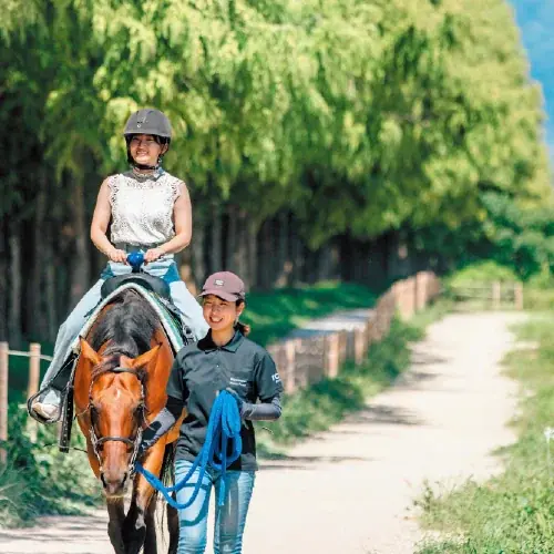 京急百貨店、1月2日初売り─午年の開運福袋全容