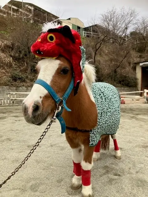 午年だけに！「馬（ウマ）」「上手い（ウマい）」「美味い（ウマい）」の福袋を販売！『2026年開運福袋』１月２日（金）午前10時から初売り 画像 15