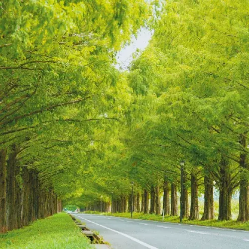 午年だけに！「馬（ウマ）」「上手い（ウマい）」「美味い（ウマい）」の福袋を販売！『2026年開運福袋』１月２日（金）午前10時から初売り 画像 2