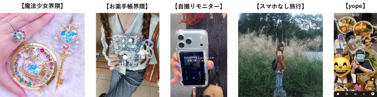 Ｚ世代が選ぶ2026年注目トレンド「SHIBUYA109 lab.トレンド予測2026」 画像 8