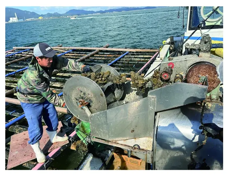 福岡県での農林漁業のお仕事に興味がある方におすすめのセミナー＆相談会！農業・林業・漁業に興味はあるが、どこで情報を知れるのかわからない。そういう方には必見！実際に働いている方の話を聞いてみませんか。 画像 5