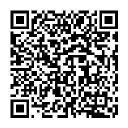 東京都での継続的なドローンショー事業開始！ドローンショー・ジャパンとヤマタネよるドローンショー第一弾「Xmas Night Canvas」を開催。2026年中に計10回実施予定 画像 2