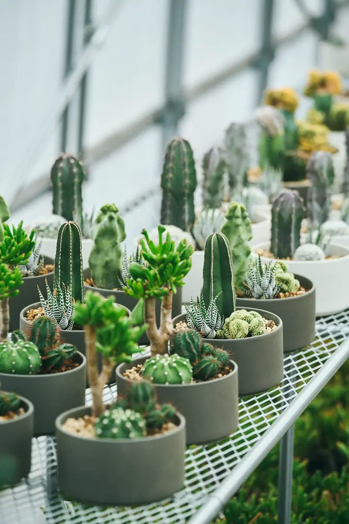 12/13＆14｜Tokyo Coffee Festival 2025 winter開催 画像 22